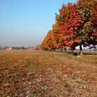 Autunno