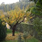 Autunno