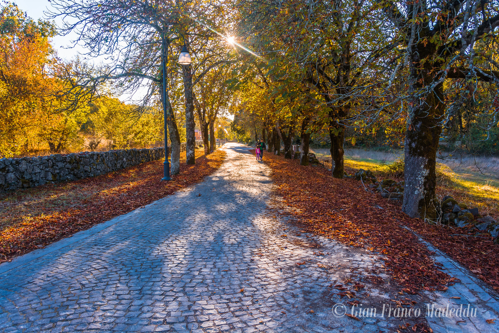 Autunno a Badde Salighes