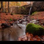 Autunno a Fonte Romana