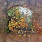 autunno a Imola