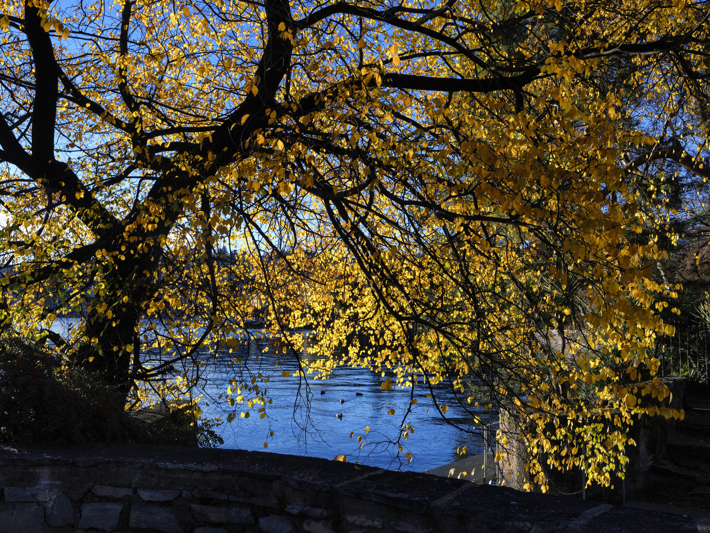 Autunno a Lugano