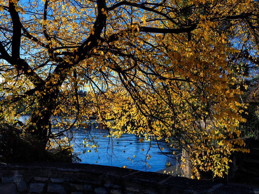 Autunno a Lugano