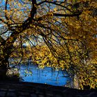 Autunno a Lugano