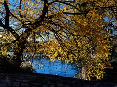 Autunno a Lugano