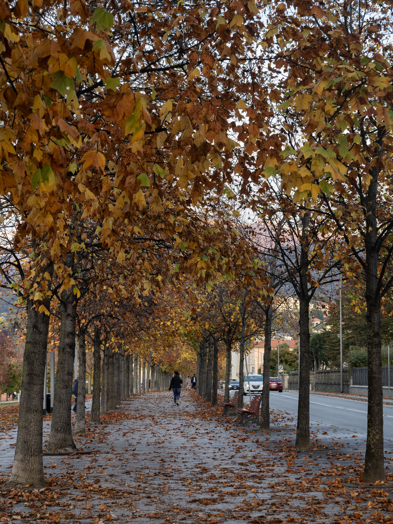 Autunno a Luino