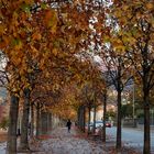 Autunno a Luino