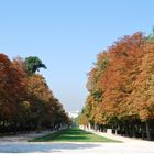 Autunno a Madrid