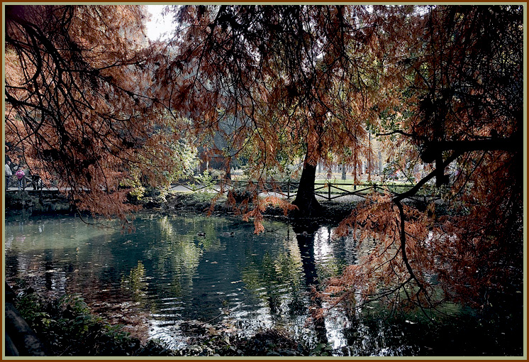 Autunno a Milano