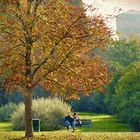 Autunno a Milano: "Insieme"