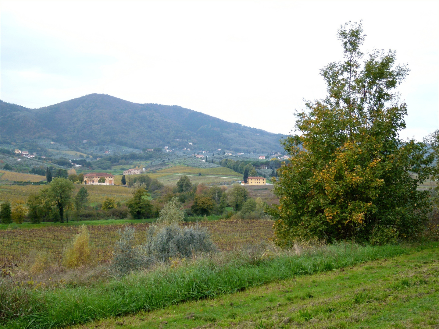 Autunno a Quarrata (Novembre 2013)