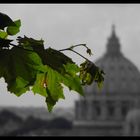 AUTUNNO A ROMA