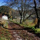 Autunno a Ruffrè