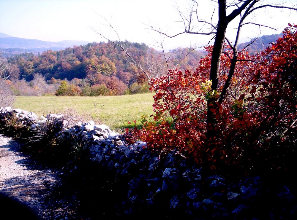 Autunno a Skocjan