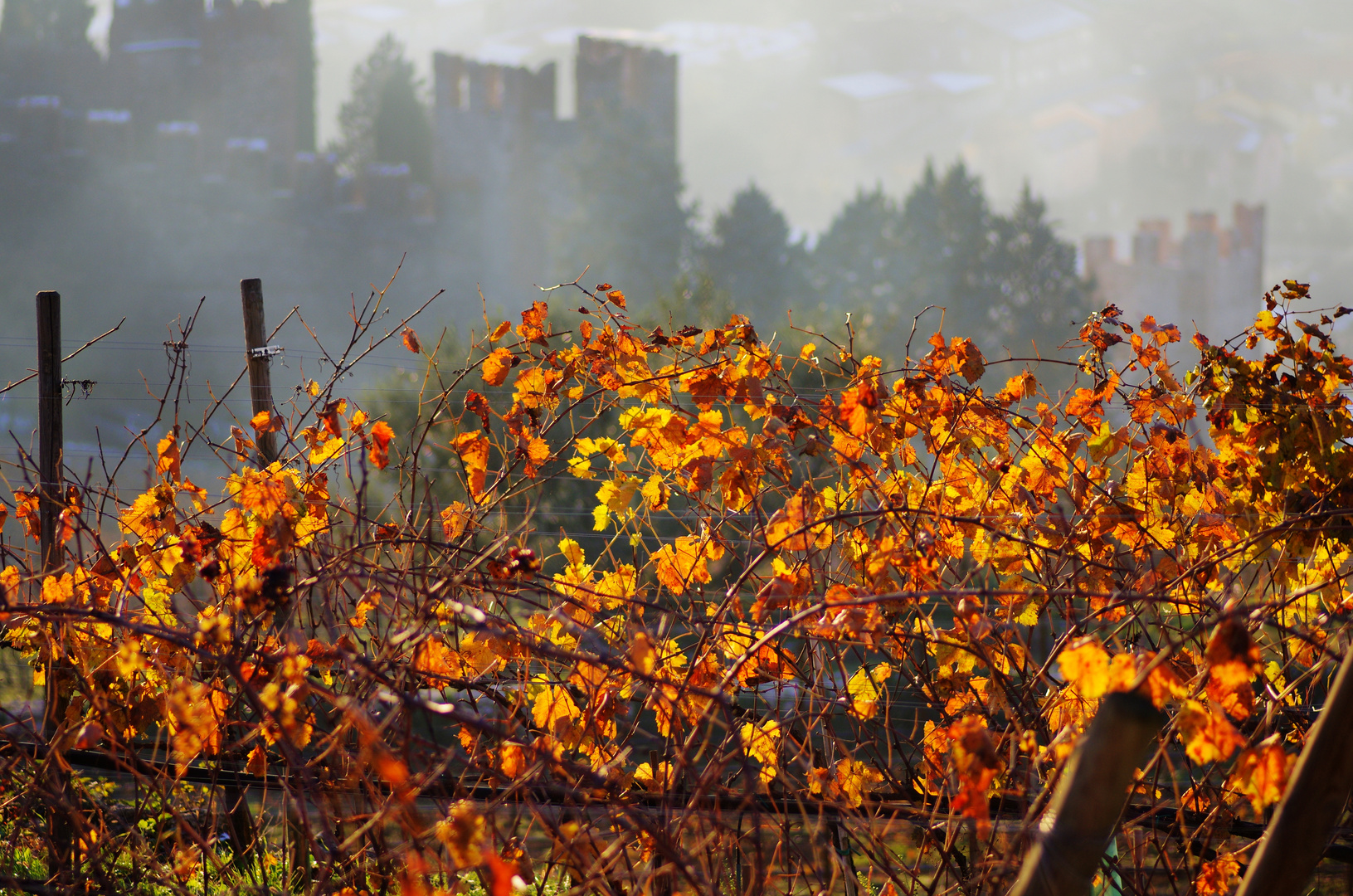 autunno a Soave