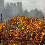 autunno a Soave