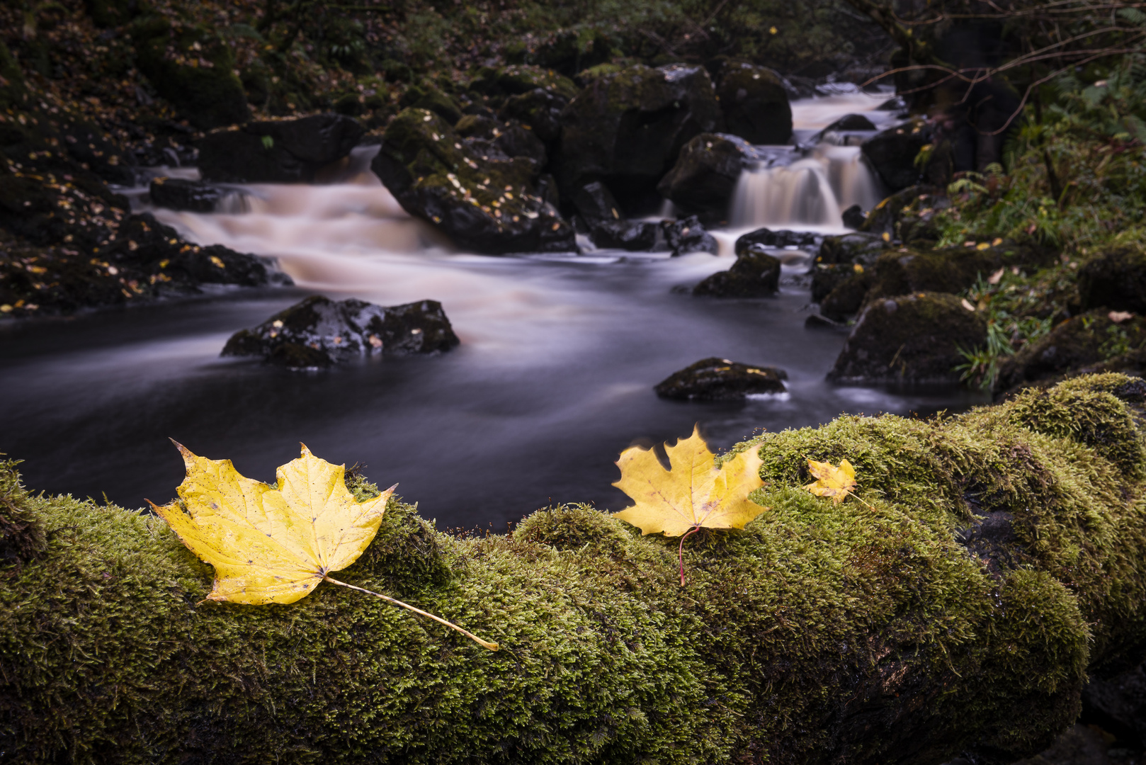 Autunno