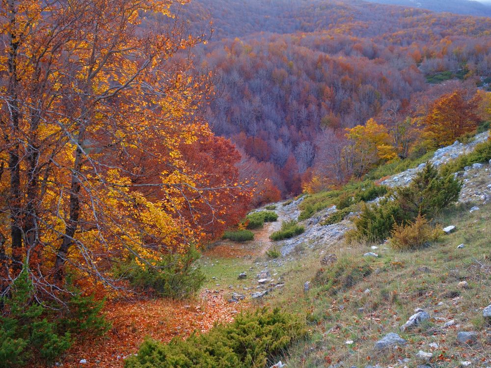 Autunno ai Mandrilli - Lecce nei Marsi