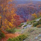 Autunno ai Mandrilli - Lecce nei Marsi