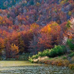 Autunno al lago.