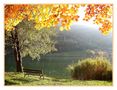 Autunno al lago von Tizzy 