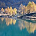 Autunno al Lago d'Arpy