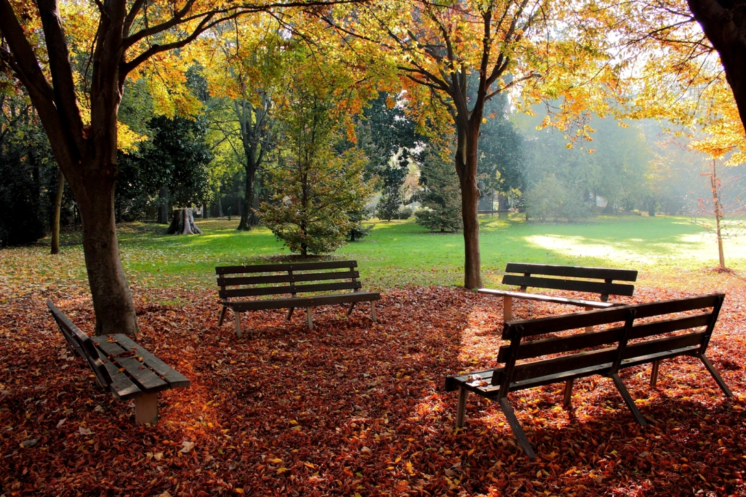 Autunno al parco