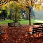 Autunno al parco