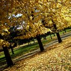 autunno al parco....