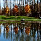 AUTUNNO AL PARCO