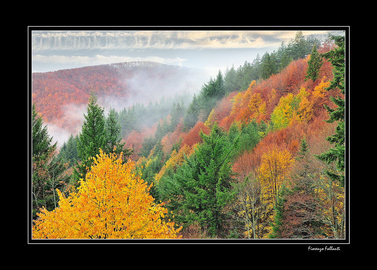 ...AUTUNNO ALLA RISERVA DELL'ACQUERINO...15