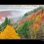 ...AUTUNNO ALLA RISERVA DELL'ACQUERINO...15