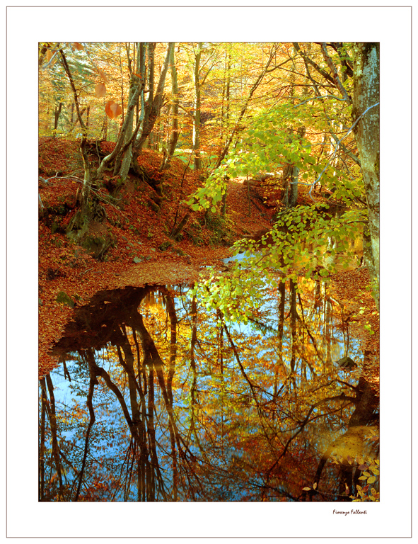 Autunno Appennino Tosco Emiliano 10