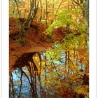 Autunno Appennino Tosco Emiliano 10