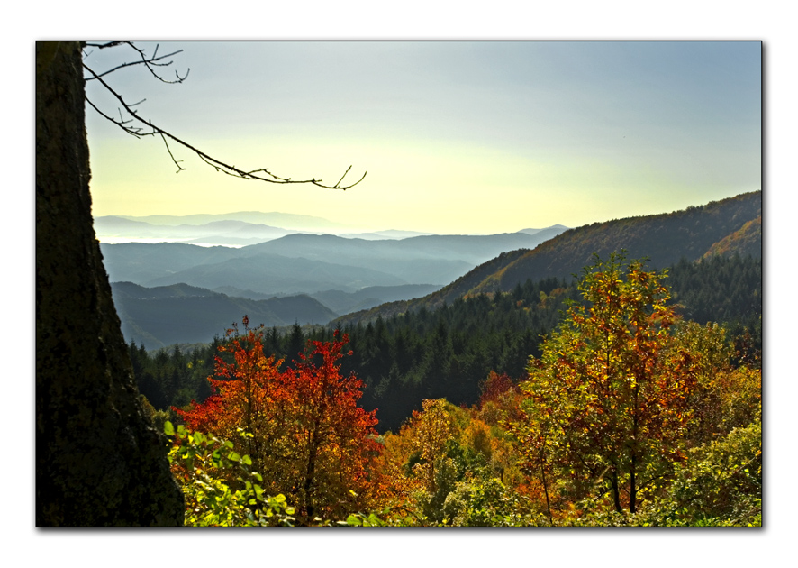 Autunno Appennino Tosco Emiliano 11