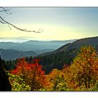 Autunno Appennino Tosco Emiliano 11