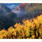 Autunno Appennino Tosco Emiliano 12