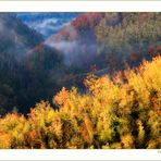 Autunno Appennino Tosco Emiliano 12