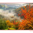 Autunno Appennino Tosco Emiliano 13