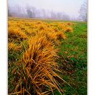 Autunno Appennino Tosco Emiliano 14