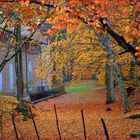 Autunno Appennino Tosco Emiliano 3