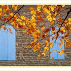 Autunno Appennino Tosco Emiliano 4