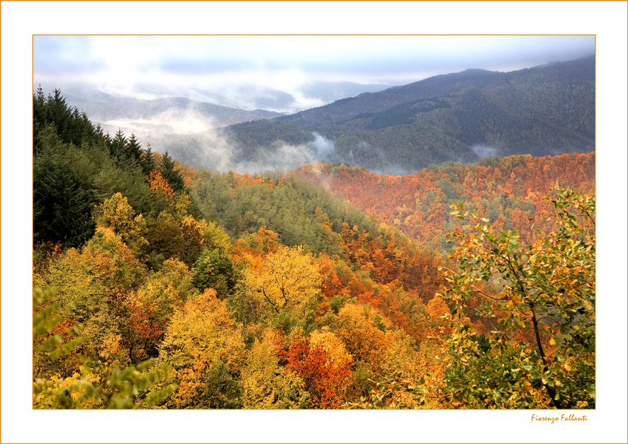 Autunno Appennino Tosco Emiliano 5