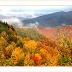 Autunno Appennino Tosco Emiliano 5