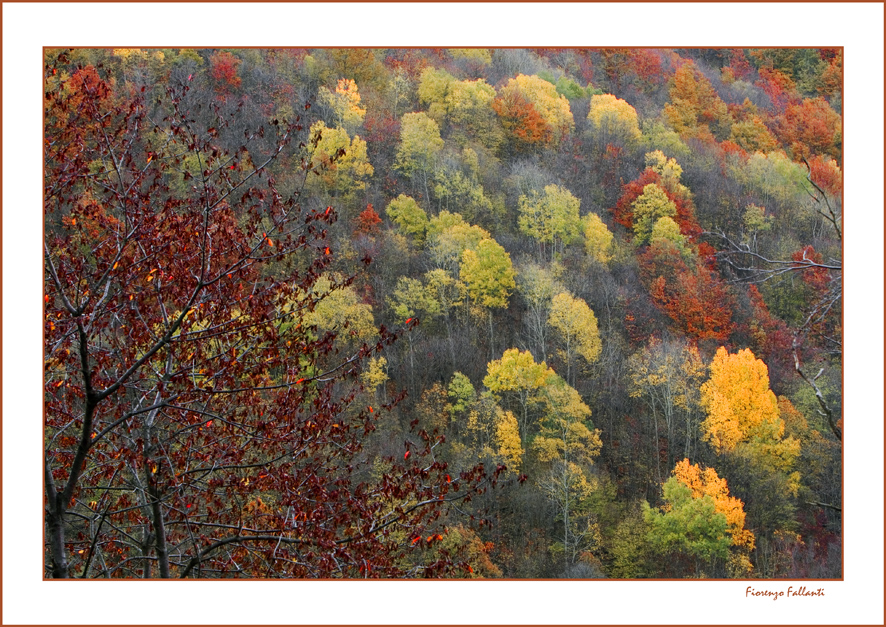 Autunno Appennino Tosco Emiliano 6