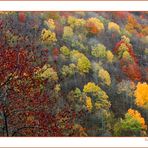 Autunno Appennino Tosco Emiliano 6