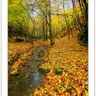 Autunno Appennino Tosco Emiliano 7