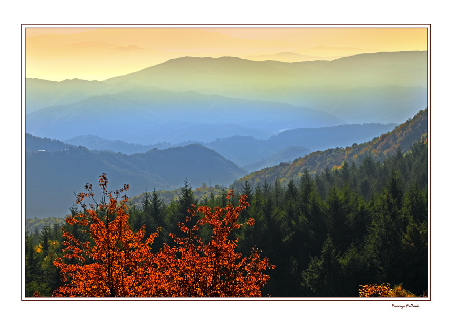 Autunno Appennino Tosco Emiliano 8