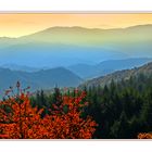 Autunno Appennino Tosco Emiliano 8