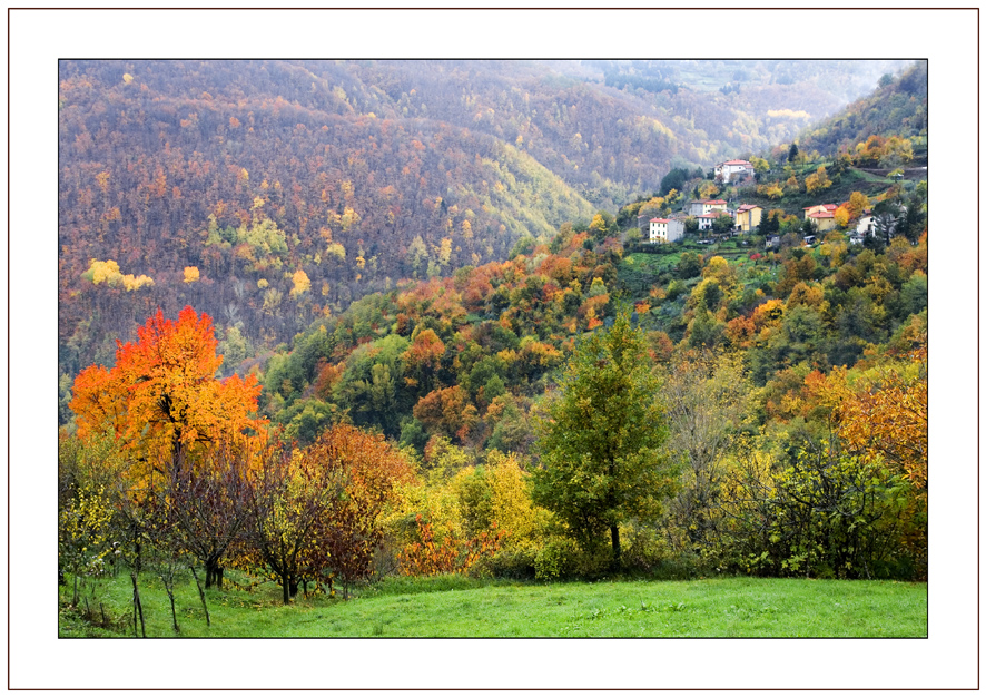 Autunno Appennino Tosco Emiliano 9